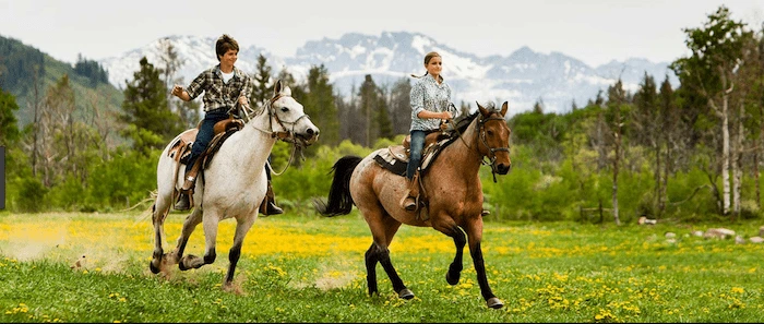 Confident plus-size woman riding Edinburgh a horse through a field with a smile on her face.